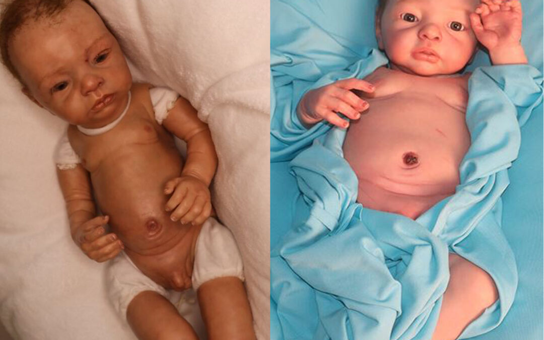 Demande de rénovation « Comment demander de rénover votre reborn? »