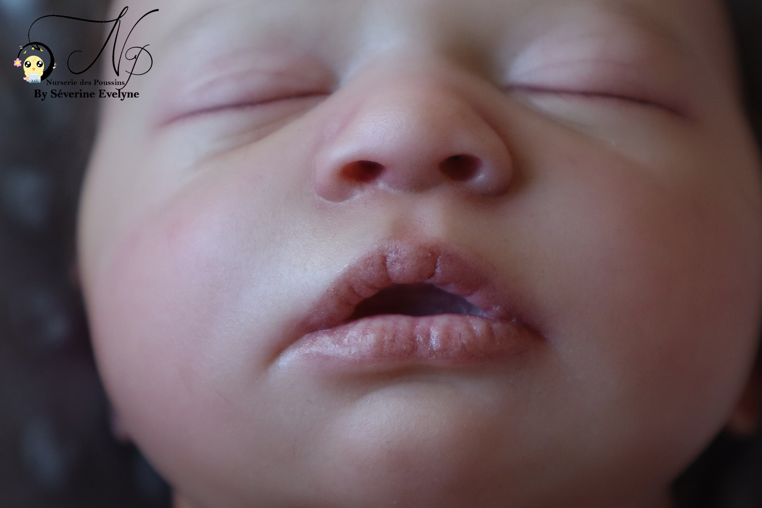 Bébé Skya Asleep Realborn – Image 8