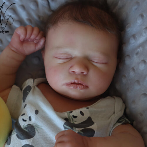 Bébé Skya Asleep Realborn