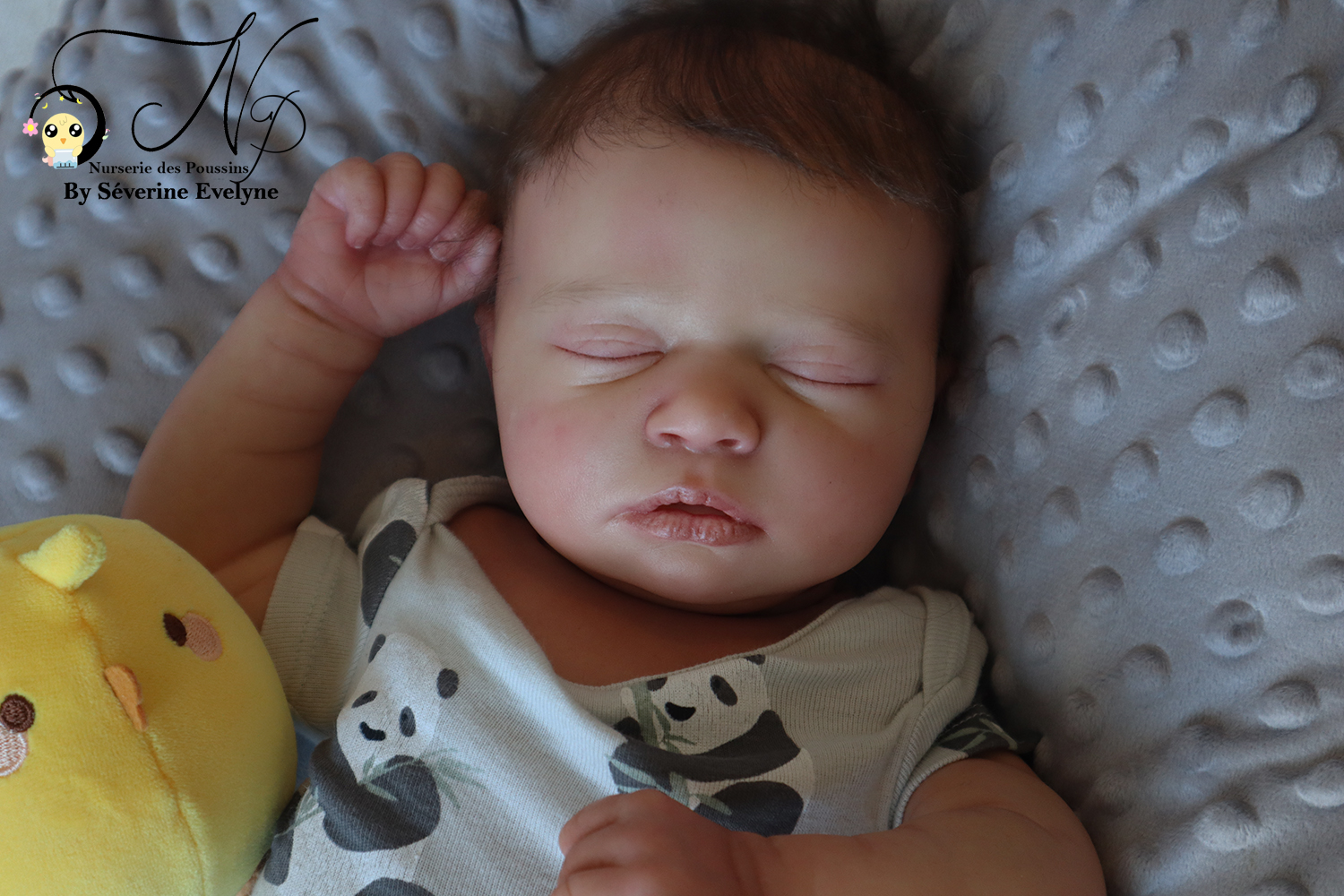 Bébé Skya Asleep Realborn
