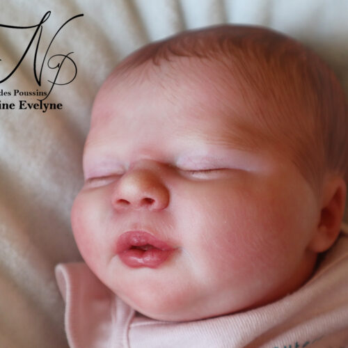 Bébé Ever Asleep Realborn