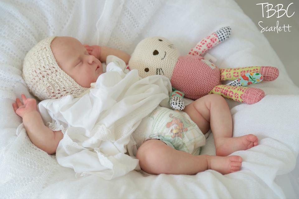 Kit Scarlett by Bonnie Brown – Image 10